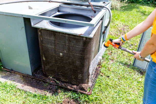 Best Air Duct Inspection  in Roosevelt, NY